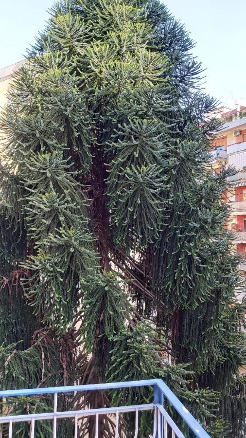 La Casa Del Cedro Lägenhet Neapel Exteriör bild